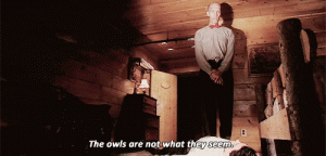 owls